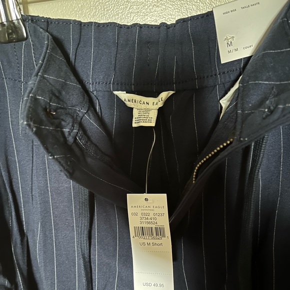 AE Pinstripe Jogger - Picture 4 of 8